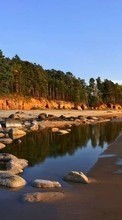 Landscape, Stones, Sea, Beach per LG Optimus Hub E510