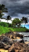Scaricare immagine 320x480 Landscape, Stones, Sky, Beach, Palms sul telefono gratis.