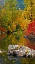 Scaricare immagine Landscape, Rivers, Stones, Autumn sul telefono gratis.