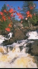 Scaricare immagine 1280x800 Plants, Landscape, Nature, Water, Stones, Waterfalls sul telefono gratis.