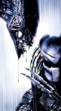Scaricare immagine 1024x768 Cinema, AVP: Alien vs. Predator sul telefono gratis.