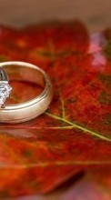 Scaricare immagine Rings, Objects, Holidays, Wedding sul telefono gratis.