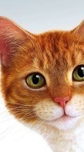 Scaricare immagine 320x480 Animals, Cats, Drawings sul telefono gratis.