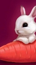 Scaricare immagine Rabbits, Pictures, Animals sul telefono gratis.
