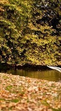 Scaricare immagine Swans, Leaves, Autumn, Birds, Animals sul telefono gratis.