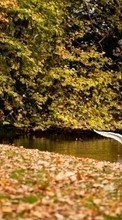 Scaricare immagine Swans,Landscape,Nature,Birds,Animals sul telefono gratis.