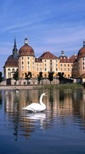 Scaricare immagine Swans,Landscape,Castles sul telefono gratis.