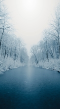 Scaricare immagine ice, Trees, Snow, Winter, Nature sul telefono gratis.