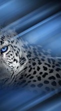 Scaricare immagine 1024x600 Animals, Leopards sul telefono gratis.