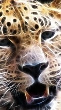 Scaricare immagine 320x480 Animals, Leopards sul telefono gratis.
