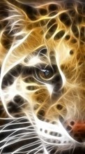 Scaricare immagine 1280x800 Animals, Leopards sul telefono gratis.
