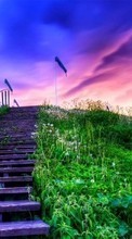 Scaricare immagine Ladders, Sky, Clouds, Landscape, Grass, Sunset sul telefono gratis.