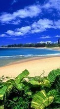 Scaricare immagine Plants, Landscape, Sky, Sea, Beach, Summer sul telefono gratis.