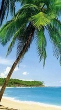 Scaricare immagine 1080x1920 Landscape, Sea, Beach, Palms, Summer sul telefono gratis.