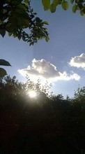 Scaricare immagine Leaves, Sky, Clouds, Landscape, Sun sul telefono gratis.