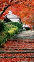 Scaricare immagine Landscape, Autumn, Leaves sul telefono gratis.