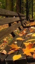Scaricare immagine Leaves, Autumn, Landscape, Streets sul telefono gratis.