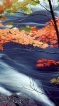Scaricare immagine Landscape, Water, Autumn, Leaves sul telefono gratis.