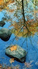 Scaricare immagine Leaves,Landscape,Rivers sul telefono gratis.