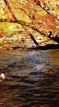 Scaricare immagine Landscape, Rivers, Leaves sul telefono gratis.
