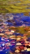 Scaricare immagine 1080x1920 Landscape, Water, Leaves sul telefono gratis.