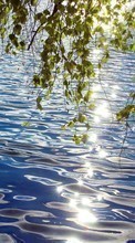 Scaricare immagine Landscape, Water, Leaves sul telefono gratis.
