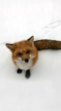 Scaricare immagine Fox,Snow,Animals,Winter sul telefono gratis.