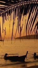 Scaricare immagine Boats, Sea, Palms, Landscape, Sunset sul telefono gratis.