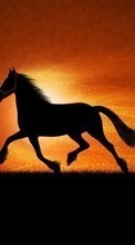Scaricare immagine Animals, Horses, Drawings sul telefono gratis.