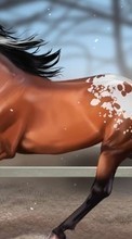 Scaricare immagine Horses, Animals sul telefono gratis.