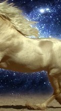 Scaricare immagine 128x160 Animals, Horses sul telefono gratis.