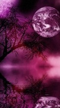 Scaricare immagine Landscape, Night, Moon sul telefono gratis.