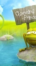 Scaricare immagine Frogs, Pictures, Funny, Animals sul telefono gratis.