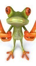 Scaricare immagine Frogs, Humor, Animals sul telefono gratis.