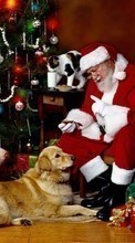 Scaricare immagine 1024x768 People, New Year, Holidays, Christmas, Xmas, Santa Claus, Animals sul telefono gratis.