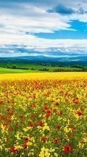Scaricare immagine Poppies, Sky, Clouds, Landscape, Fields sul telefono gratis.