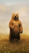 Bears,Animals per Nokia 108