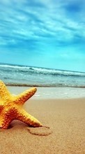 Scaricare immagine Sea, Starfish, Sky, Landscape, Beach sul telefono gratis.