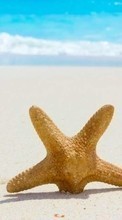 Scaricare immagine Sea, Starfish, Objects, Landscape, Sand, Beach sul telefono gratis.