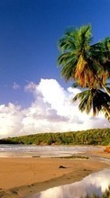 Scaricare immagine Sea, Sky, Clouds, Palms, Landscape, Beach sul telefono gratis.