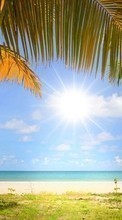 Scaricare immagine Sea, Sky, Clouds, Palms, Landscape, Beach sul telefono gratis.