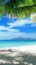 Scaricare immagine Sea, Sky, Palms, Landscape, Sand, Beach sul telefono gratis.