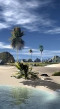 Scaricare immagine 240x320 Landscape, Sky, Sea, Beach, Palms sul telefono gratis.