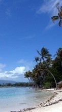 Scaricare immagine 320x240 Landscape, Sky, Sea, Beach, Palms sul telefono gratis.