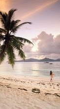 Scaricare immagine Landscape, Sky, Sea, Beach, Palms sul telefono gratis.