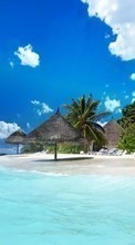 Scaricare immagine 800x480 Landscape, Sky, Sea, Beach, Palms sul telefono gratis.