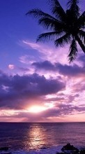 Scaricare immagine 240x400 Landscape, Sunset, Sky, Sea, Sun, Palms sul telefono gratis.