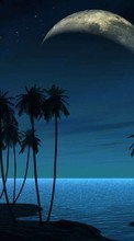 Scaricare immagine Sea,Night,Palms,Landscape sul telefono gratis.