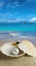 Scaricare immagine Sea, Objects, Shells, Pearls sul telefono gratis.