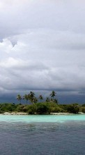 Scaricare immagine Sea, Clouds, Palms, Landscape sul telefono gratis.